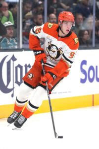 Обзор перед дедлайном обмена: «Анахайм Дакс»